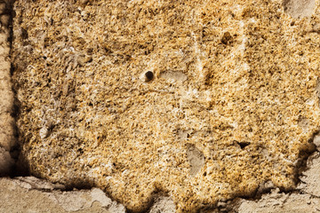 texture of the masonry wall of the cockleshell relief close-up background