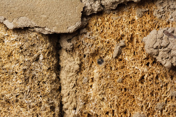 texture of the masonry wall of the cockleshell relief close-up background