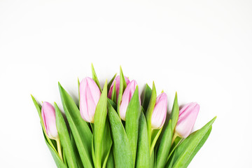 Greeting card pink tulips