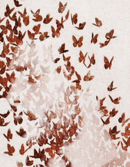 Butterfly People IV