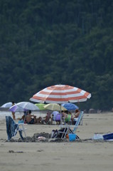 umbrellas on the beach