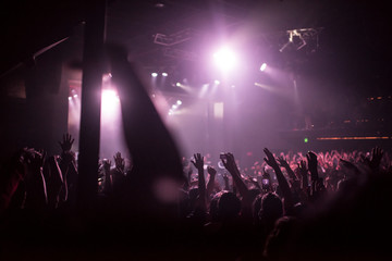 Fototapeta na wymiar Crowd Hands at Concert