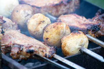 pork shashlik. meat is fried on coals