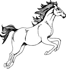 Picture with a galloping horse. Running animal tattoo.