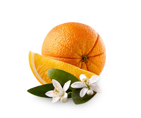 Orange slice with blossom on the white background
