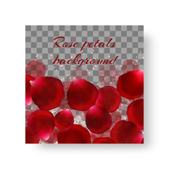 Wedding card template with rose petals