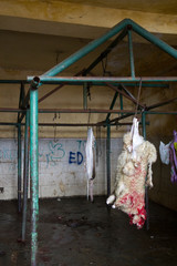 At the butchers with slaughtered sheep hanging from steel frame 