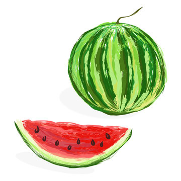 Vector illustration of whole watermelon and slice