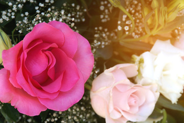 Pink Roses in Flower Arrangement