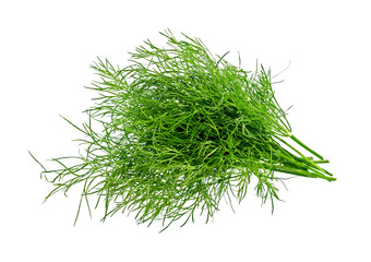 Dill. Bunch fresh green dill isolated.