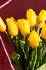 Fototapeta premium Bouquet of yellow tulips on pink background, spring, love. Valentine's Day, Woman's Day.