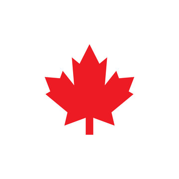 recommend clip art: Maple icon graphic design template vector