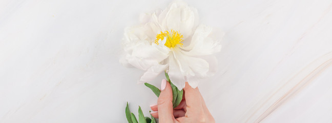Obraz na płótnie Canvas White peony flowers on marble background