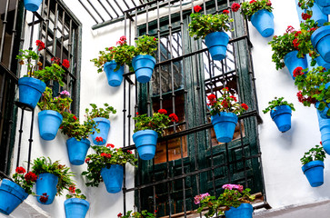 Fototapeta na wymiar Blaue Blumentöpfe an der Hausmauer in einem kleinen spanischen Innenhof