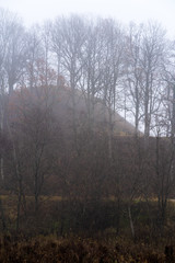 bushes, large trees and hill, dark autumn day, all in the fog