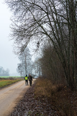 Fototapeta premium cloudy, foggy autumn day during hunting; rural road at the edge of the forest with two hunters who go away