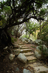 Avakas Gorge valley on Cyprus