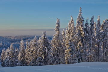 Zima w górach, ośnieżone drzewa