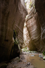 Avakas Gorge valley on Cyprus