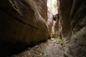 Avakas Gorge valley on Cyprus
