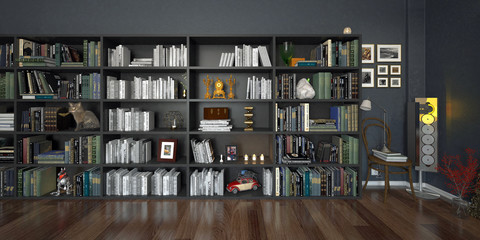 Stanza con grande libreria piena di libri e oggetti, con gatto, rendering 3d, illustrazione 3d - obrazy, fototapety, plakaty