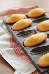 Madeleines-6561