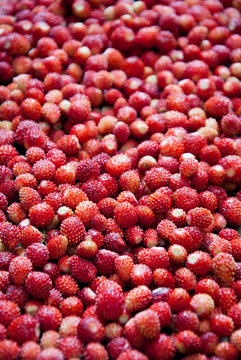 Wild strawberries background