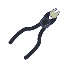 Dental plier with tooth