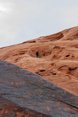 petroglyphs at Valley of Fire in Nevada