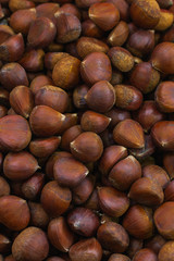 Chestnuts on a black background