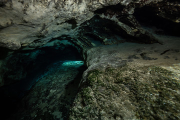 Beautiful view of an underwater cave formation. Taken in 7 Sisters Springs, Chassahowitzka River, Florida, United States of America.