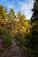 Hiking trail Millomeris waterfall Cyprus