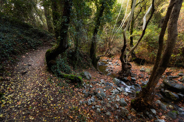 Hiking trail Millomeris waterfall Cyprus