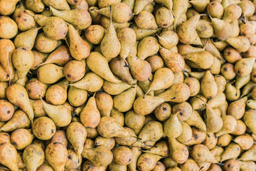 Fresh yellow and green pears background. A large group of beautiful green pears in a market.