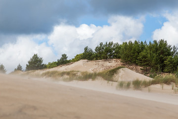 Plaża w Słowińskim Parku Narodowym. 