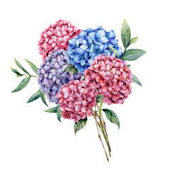 Watercolor elegance bouquet with hydrangea. Hand painted pink, blue and violet flowers with eucalyptus leaves and branch isolated on white background. Nature botanical illustration for design, print