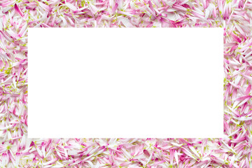 Isolate frames from a large number of petals daisies.