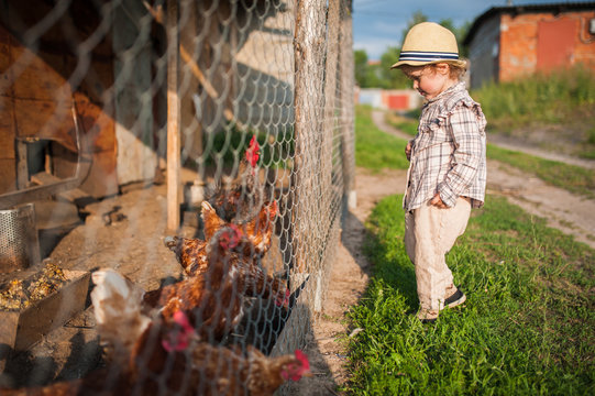 young cute girl looks at chickens
