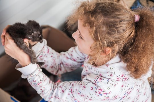 Little cute curly little girl with a black kitten on her hands.