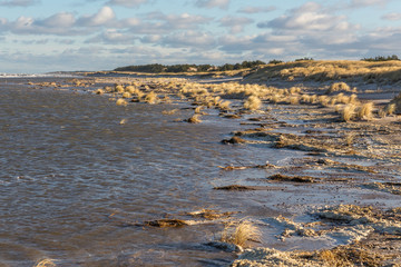 Plaża w Słowińskim Parku Narodowym podczas sztormowej pogody. 