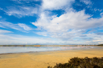 Salt Lake with flamingos Larnaca