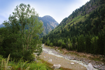 Fototapeta na wymiar Talgar River in Monakhov Gorge (Kazakhstan, Talgar)