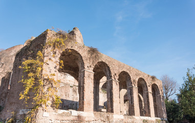The ruins of the five arches in the Roman Forum.