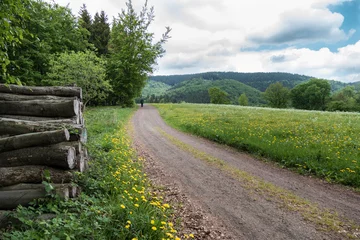 Foto auf Acrylglas Artz Waldweg über Bergwiesen im Thüringer Wald  © Nicole