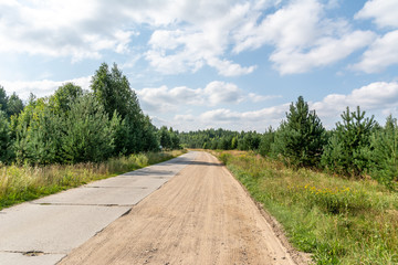Obraz premium Road through pine forest