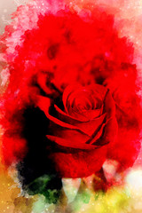 Red roses background and softly blurred watercolor background.