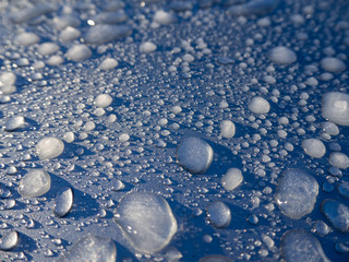 Frozen Water Droplets on a cold morning. Abstract blue background