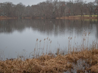 Fototapeta premium lake in winter with snow falling