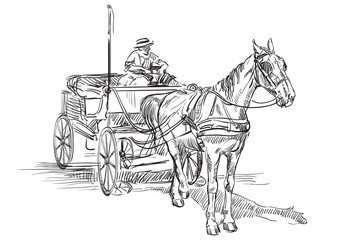 Obraz premium Horse in harness2