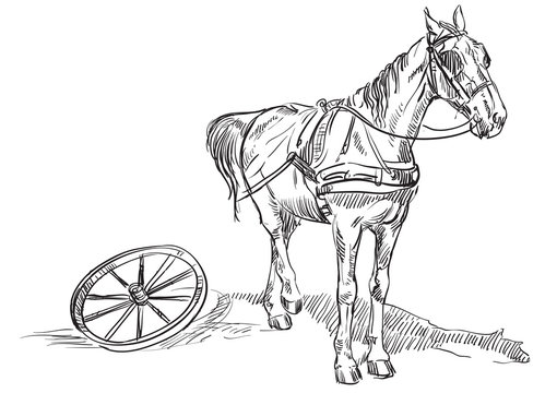 Horse with wheel